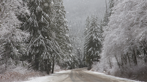 A snowy back road