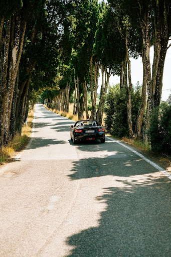 a black convertible driving down a road lined with trees