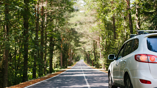 White SUV on a scenic tree-lined road, showcasing durable all-season tires for smooth and reliable travel.